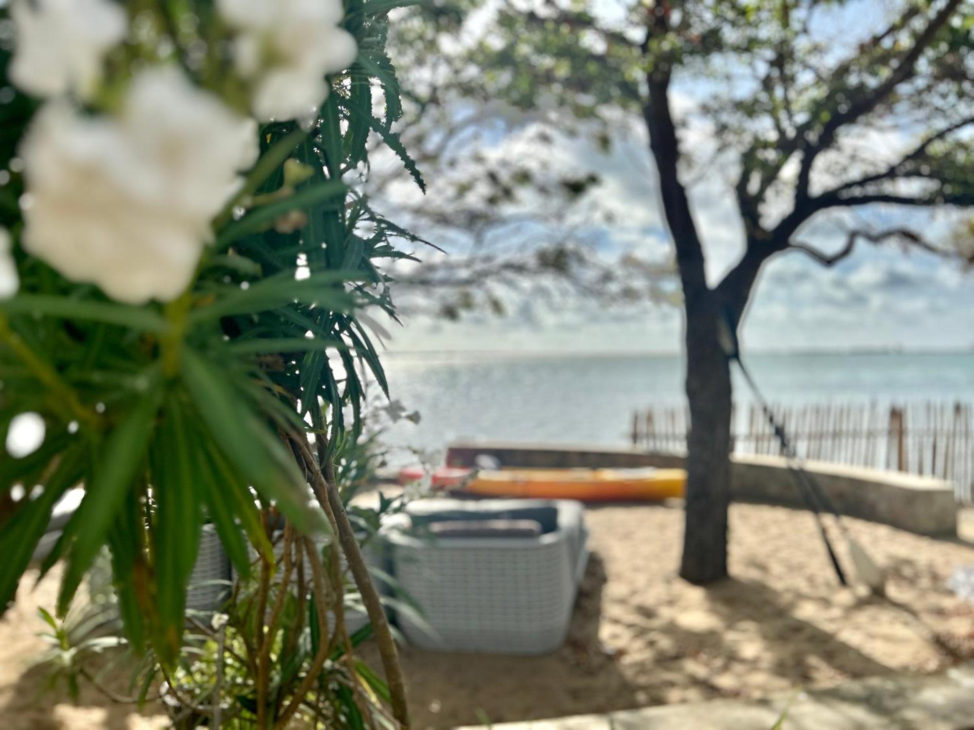 Arasi Resort كالبيتيا المظهر الخارجي الصورة